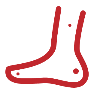 leg mole Icon